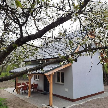 Noclegi Różanka ugości w domku wielosezonowym grupę do 6 osób Radomierz Exterior foto
